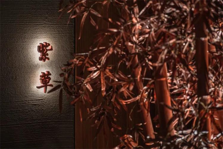 湘愛 · ?沈陽(yáng)